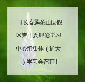 长春莲花山度假区党工委理论学习中心组集体（扩大）学习会召开