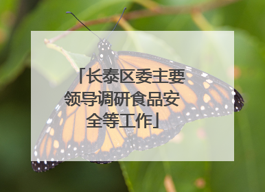 长泰区委主要领导调研食品安全等工作