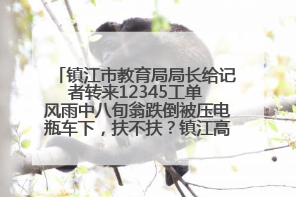 镇江市教育局局长给记者转来12345工单 风雨中八旬翁跌倒被压电瓶车下，扶不扶？镇江高职学子选择令人钦佩