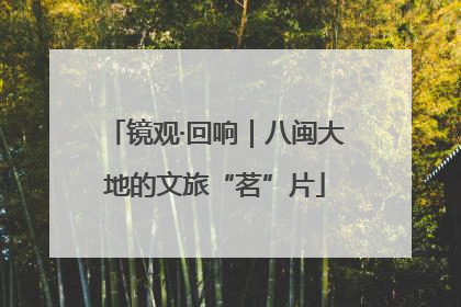 镜观·回响｜八闽大地的文旅“茗”片