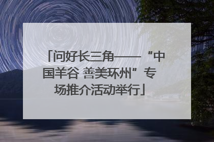 问好长三角——“中国羊谷 善美环州”专场推介活动举行