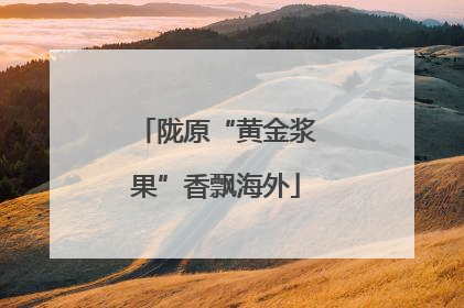 陇原“黄金浆果”香飘海外