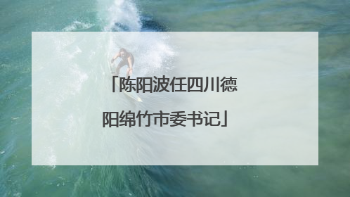 陈阳波任四川德阳绵竹市委书记