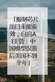 限制芯片出口未能奏效，白宫AI主管：中国模型仅落后美国不到半年