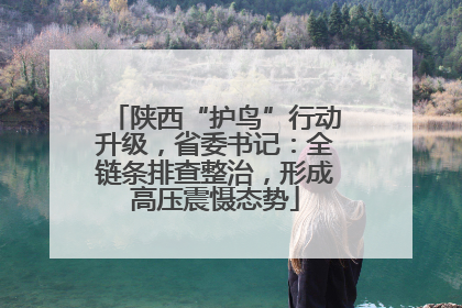 陕西“护鸟”行动升级，省委书记：全链条排查整治，形成高压震慑态势