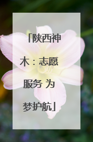 陕西神木：志愿服务 为梦护航
