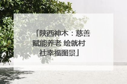 陕西神木：慈善赋能养老 绘就村社幸福图景