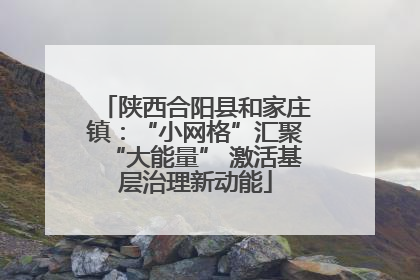 陕西合阳县和家庄镇：“小网格”汇聚“大能量” 激活基层治理新动能