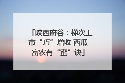 陕西府谷：梯次上市“巧”增收 西瓜富农有“蜜”诀