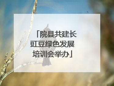 院县共建长豇豆绿色发展培训会举办