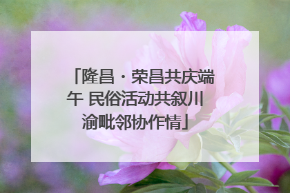 隆昌・荣昌共庆端午 民俗活动共叙川渝毗邻协作情