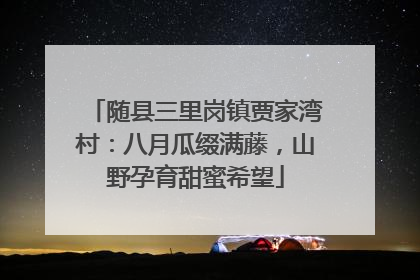 随县三里岗镇贾家湾村：八月瓜缀满藤，山野孕育甜蜜希望