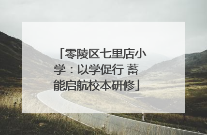 零陵区七里店小学：以学促行 蓄能启航校本研修