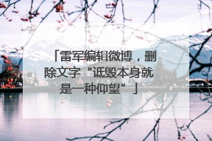 雷军编辑微博，删除文字“诋毁本身就是一种仰望”