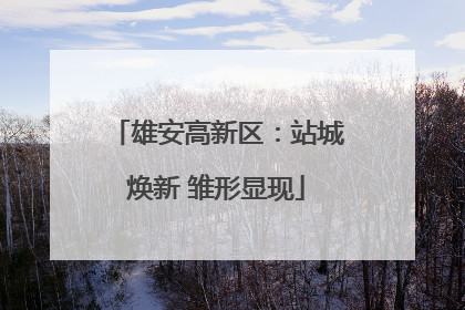 雄安高新区：站城焕新 雏形显现