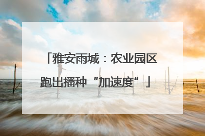 雅安雨城：农业园区跑出播种“加速度”