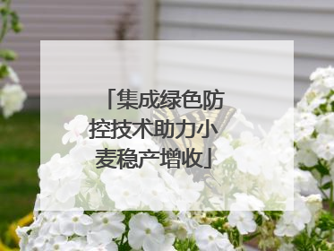集成绿色防控技术助力小麦稳产增收