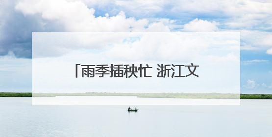 雨季插秧忙 浙江文成“丰”光美如画