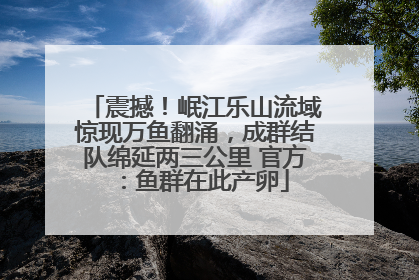 震撼！岷江乐山流域惊现万鱼翻涌，成群结队绵延两三公里 官方：鱼群在此产卵