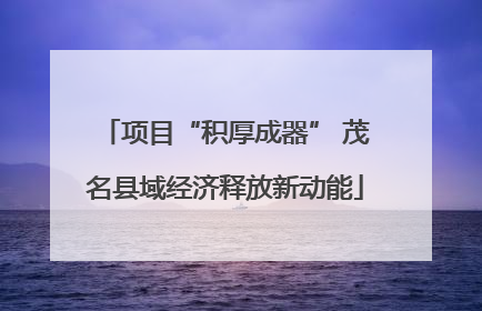 项目“积厚成器” 茂名县域经济释放新动能