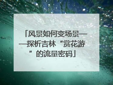 风景如何变场景——探析吉林“赏花游”的流量密码