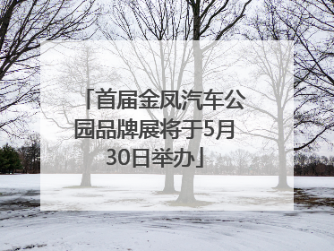 首届金凤汽车公园品牌展将于5月30日举办