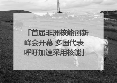 首届非洲核能创新峰会开幕 多国代表呼吁加速采用核能