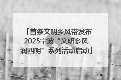 首条文明乡风带发布 2025宁波“文明乡风润四明”系列活动启动