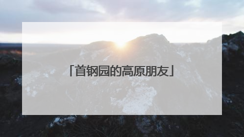 首钢园的高原朋友