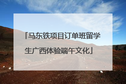 马东铁项目订单班留学生广西体验端午文化