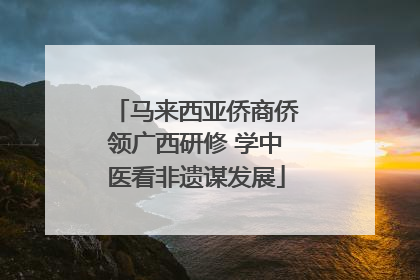 马来西亚侨商侨领广西研修 学中医看非遗谋发展