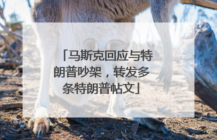 马斯克回应与特朗普吵架，转发多条特朗普帖文