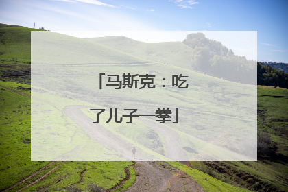 马斯克：吃了儿子一拳