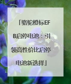 骆驼橙标EFB启停电池：引领高性价比启停电池新选择