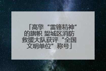 高擎“雷锋精神”的旗帜 望城区消防救援大队获评“全国文明单位”称号