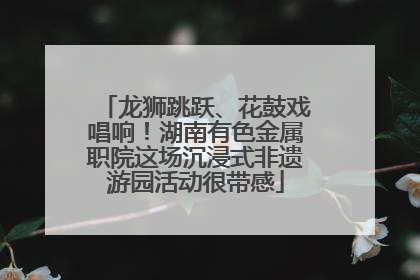 龙狮跳跃、花鼓戏唱响！湖南有色金属职院这场沉浸式非遗游园活动很带感