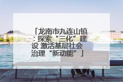 龙南市九连山镇：探索“三化”建设 激活基层社会治理“新动能”