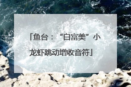 鱼台：“白富美”小龙虾跳动增收音符