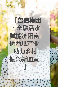 鲁信集团：金融活水赋能济阳富硒西瓜产业 助力乡村振兴新图景
