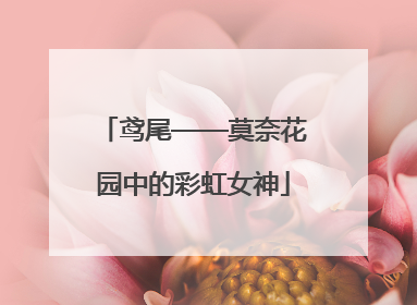 鸢尾——莫奈花园中的彩虹女神