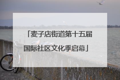 麦子店街道第十五届国际社区文化季启幕
