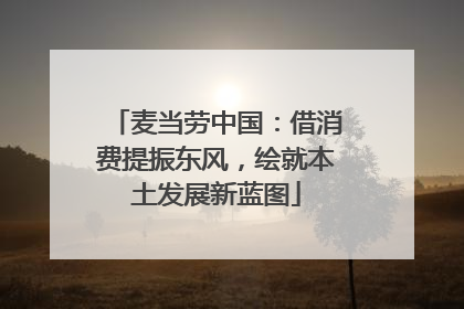 麦当劳中国：借消费提振东风，绘就本土发展新蓝图