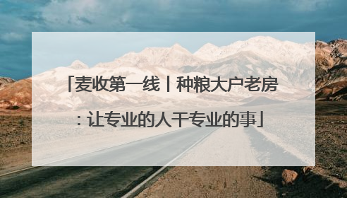 麦收第一线丨种粮大户老房：让专业的人干专业的事