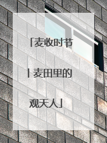 麦收时节丨麦田里的观天人