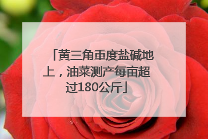 黄三角重度盐碱地上，油菜测产每亩超过180公斤