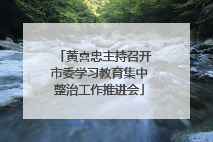 黄喜忠主持召开市委学习教育集中整治工作推进会