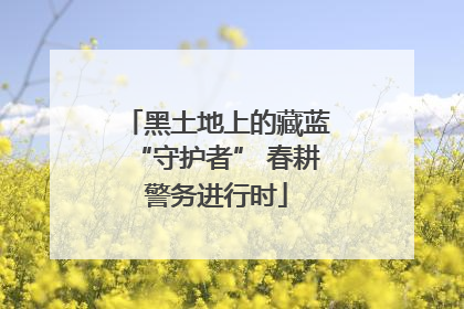 黑土地上的藏蓝“守护者” 春耕警务进行时