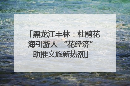 黑龙江丰林：杜鹃花海引游人 “花经济”助推文旅新热潮