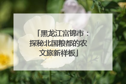黑龙江富锦市：探秘北国粮都的农文旅新样板