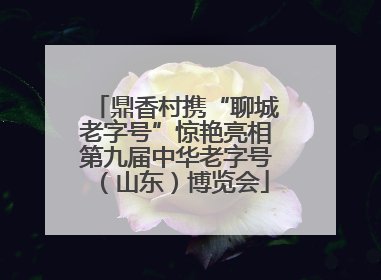鼎香村携“聊城老字号”惊艳亮相第九届中华老字号（山东）博览会